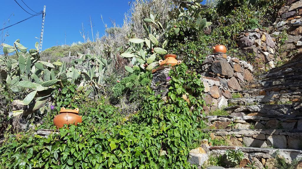 Casa Rural - Laendliches Haus, Pepita La De Las Flores Tejeda  Exterior photo